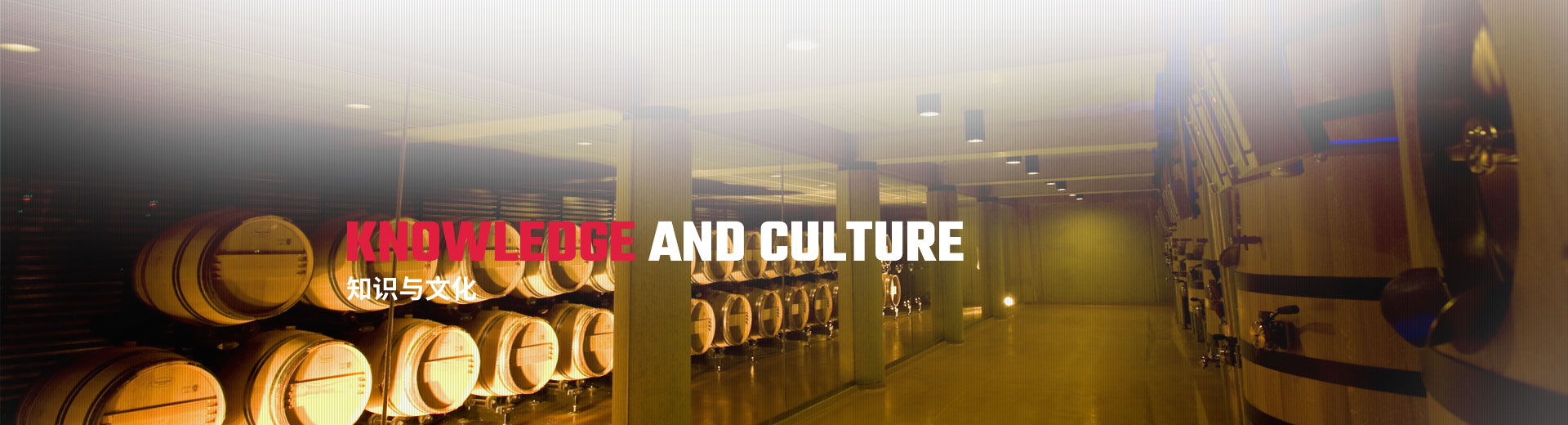 知(zhī)識與文(wén)化(huà)