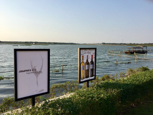 2017年(nián)10月(yuè)28日(rì)愛(ài)醇與菲比富爵品酒會(huì)第一(yī)站(zhàn)：上(shàng)海(hǎi)