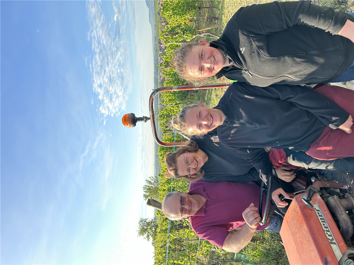 米歇爾馮內(nèi)酒莊采收場(chǎng)景